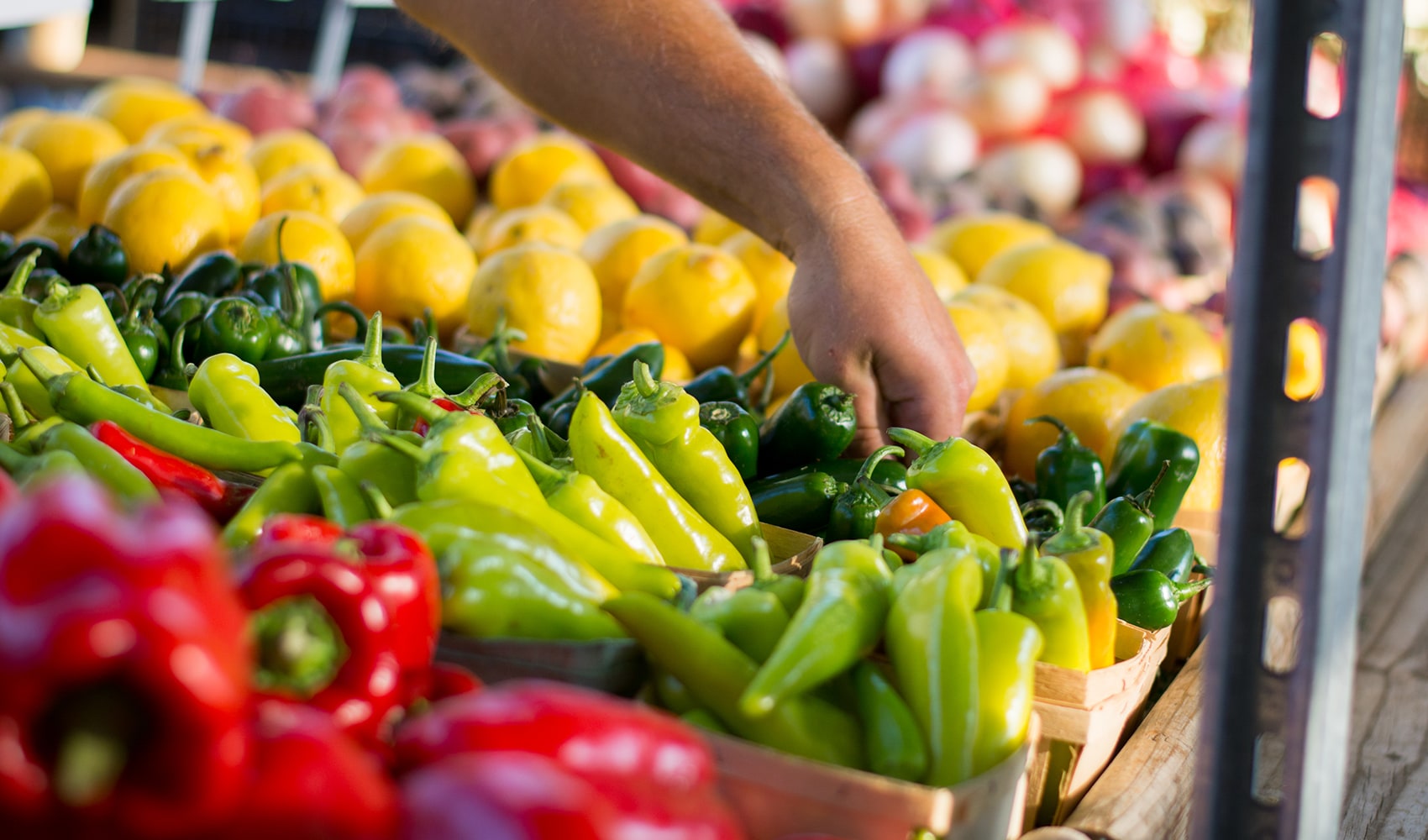 Double Your SNAP/EBT Benefits at Gainesville Farmers' Markets - SWAG